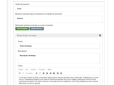 Detalle de creación de anuncios por bloques
