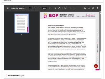 Detalle de previsualización de anuncio por bloques
