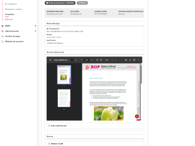 Detalle de anuncio creado